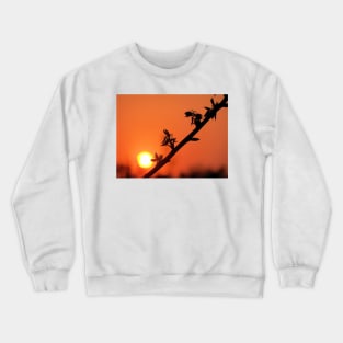 Beginning & End Crewneck Sweatshirt